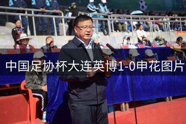 中国足协杯大连英博1-0申花图片分享，先来斯坦丘进球瞬间+庆祝